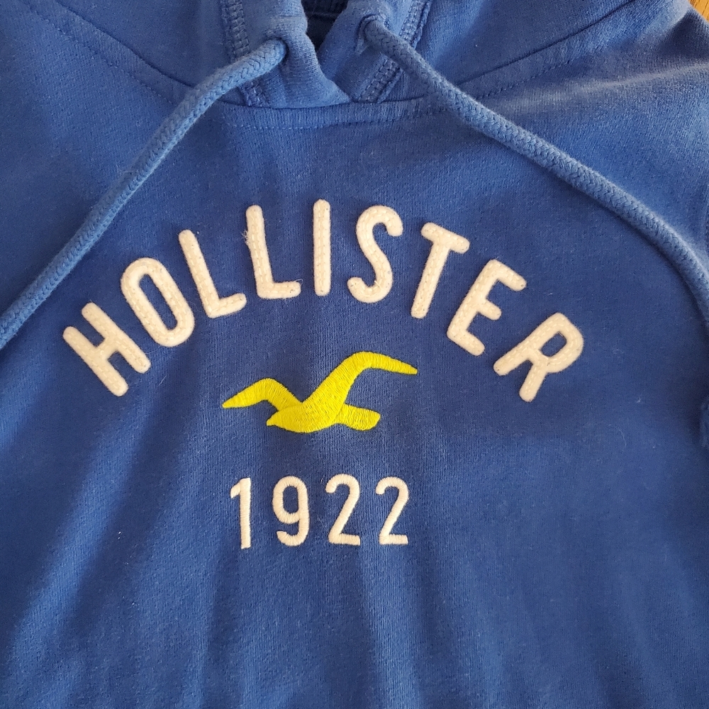 Hollister hoodie